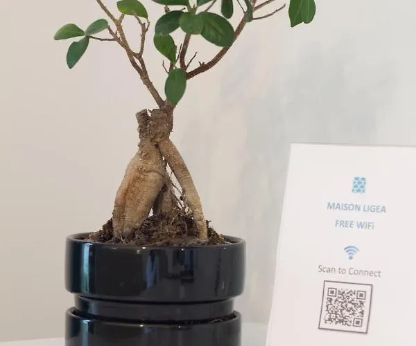 Bed and breakfast Maison Ligea Península Sorrentina