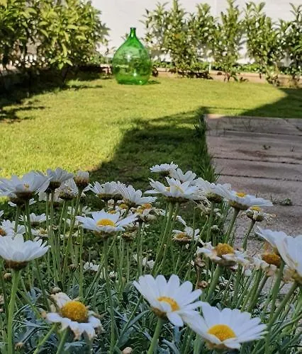 Bed and breakfast Maison Ligea