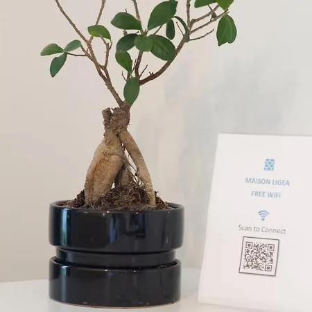 住宿加早餐酒店 Maison Ligea 索伦托