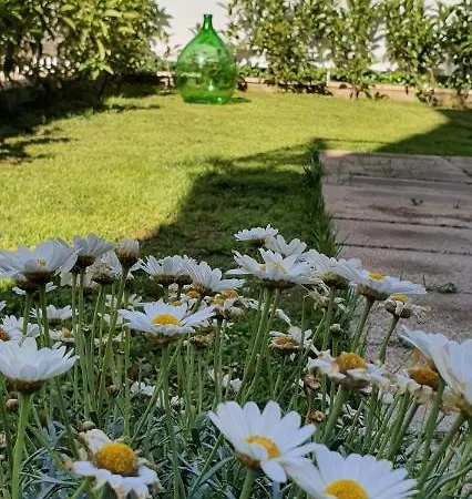 住宿加早餐酒店 Maison Ligea